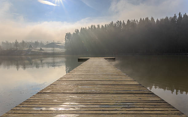 Morning mist at the lake Eging Foggy cold winter morning at the Lake Eging near Passau bavarian forest stock pictures, royalty-free photos & images