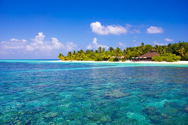 istock Postcard from the Maldives, North Ari Atoll 513423884