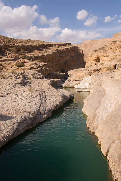 istock Water pool in Omani Wadi 513423934
