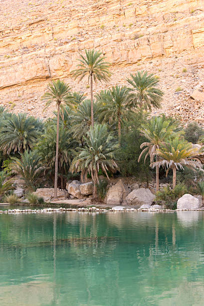 istock Water pool with palm trees in desert 513424226