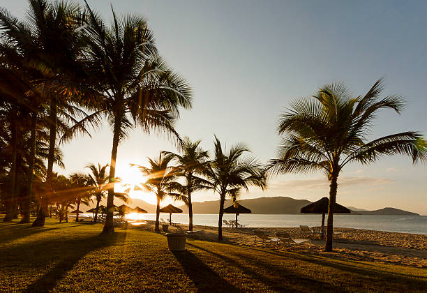 istock Sunrising at a Brazilian Tropical Beach 513425386