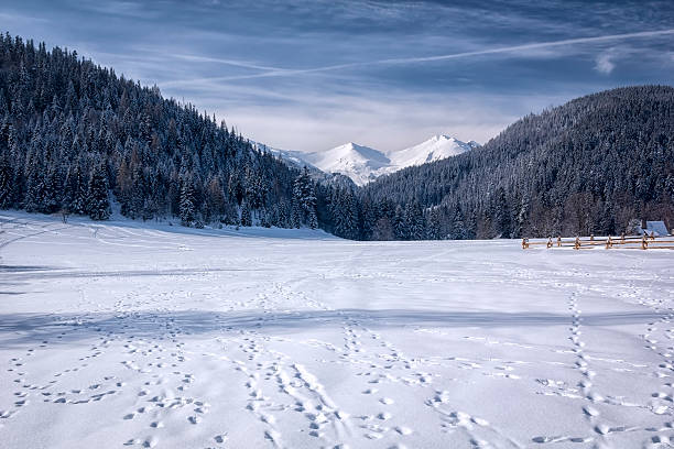 istock Footprints in the Tatra Mountains 513425904