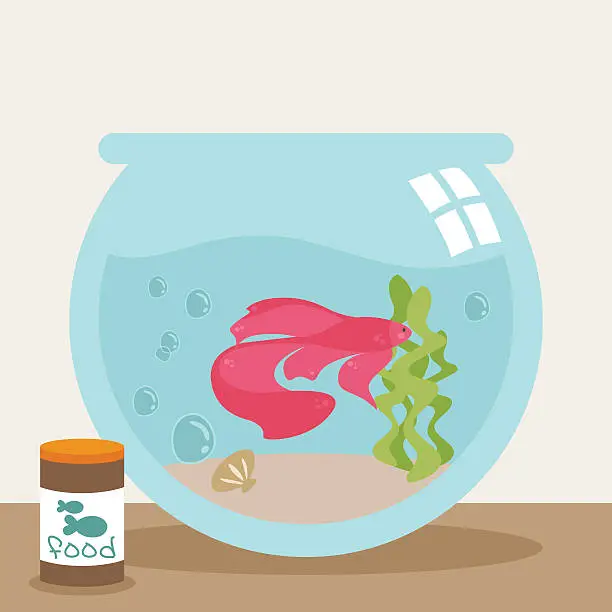 Vector illustration of Pet Betta Fish