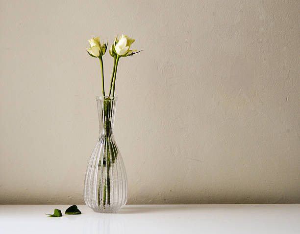 istock White roses in glass vase 513428632