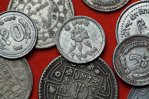 istock Coins of Nepal. Rhododendron flower 513429018