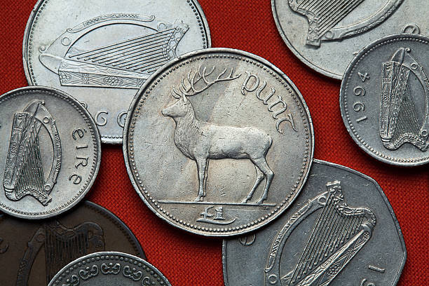 istock Coins of Ireland. Red deer (Cervus elaphus) 513429158