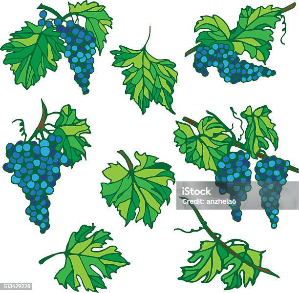 Abstract Grape Vector Grapes Set Abstract Vector Stock Illustration - Download Image Now ...