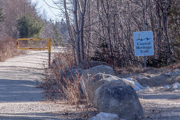 istock coastal trail, Nova Scotia,Canada 513429874