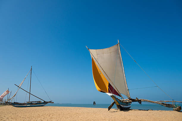 istock Sandy coast with sailboats 513430992