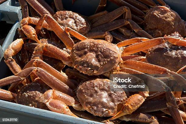Snow Crab Crates On Fishing Boat Stock Photo - Download Image Now - Snow Crab, Fishing Industry, Crate