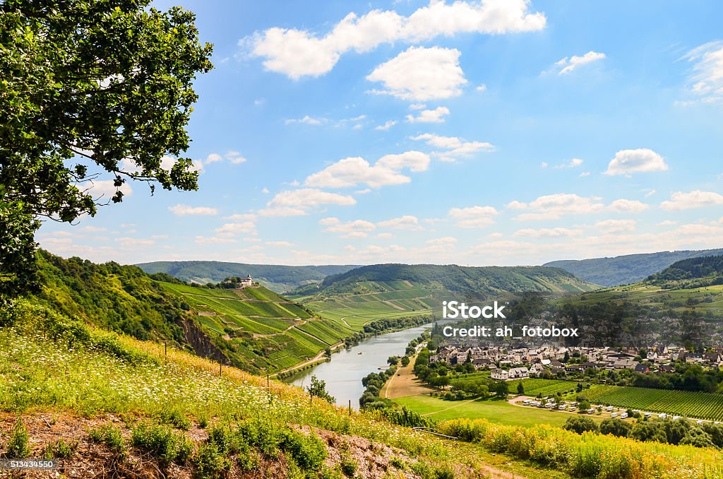 Moselle Valley Germany: View to Marienburg Castle and Village Puenderich View across the river Moselle to Marienburg Castle and village Punderich - Moselle valley wine region in Germany Rhine River Stock Photo