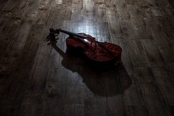 violoncello (violoncelo - silvara stock-fotos und bilder