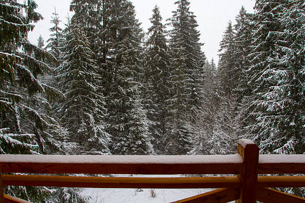 istock Forest View of the chalet. Snow. . 513436028