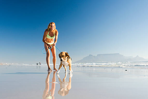 Attractive adult woman walking her dog on a leash on the beach on a sunny Summer day, Table Mountain in the background.