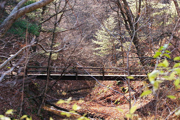 istock Starved Rock Pedestiral Bridge 513436520