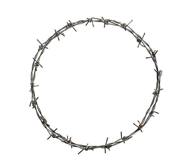 Barbed wire circle Barbed wire circle isolated on white background barbed wire photos stock pictures, royalty-free photos & images