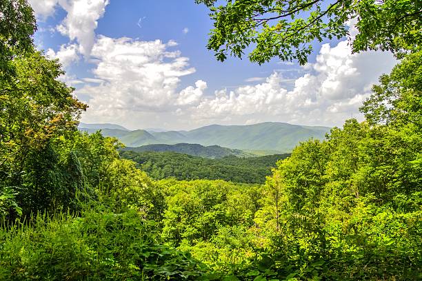 istock Smoky Mountain Horizon 513442703