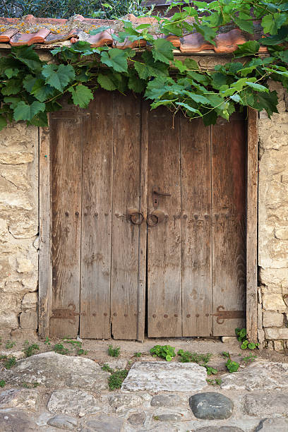 istock Old wooden door and vine on stone wall 513442707