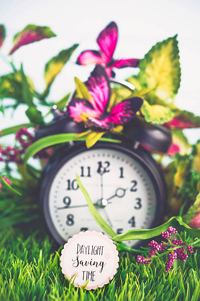 istock Clock in grass with spring foliage. Daylight Savings Time reminder 513442808