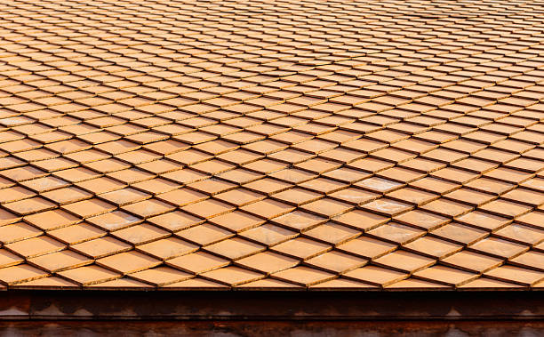 istock Thai style roof for house 513443053