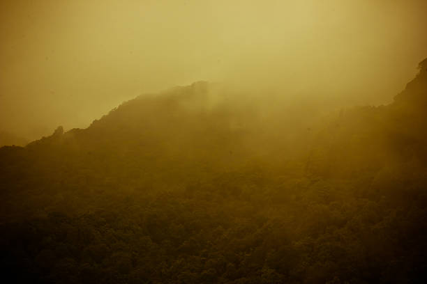 istock Beautiful landscape of tropical mountain 513444033