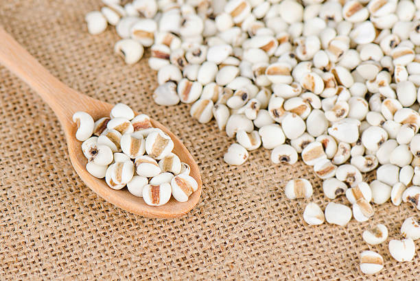 lágrimas de trabajo con cuchara de madera, mijo granos, orgánica. - eating utensil green pea vegetarian food organic fotografías e imágenes de stock