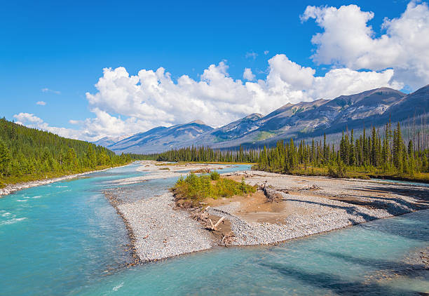istock Mountain river in Banff National Park 513444867