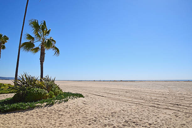 istock Newport Beach, California 513445022