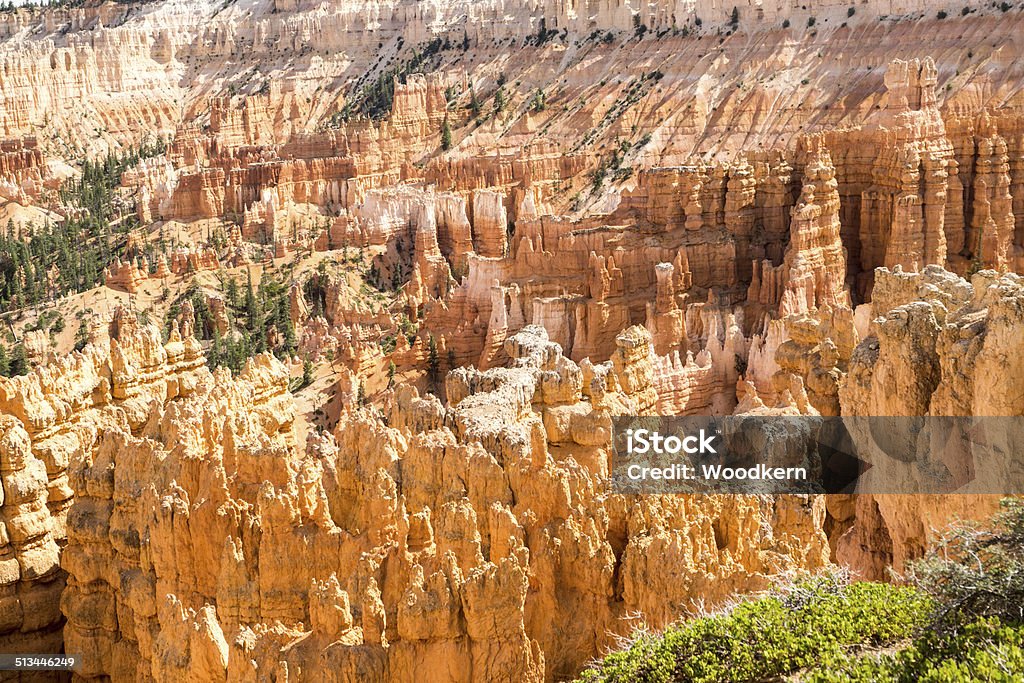 Bryce Canyon Amphitheater Majestic Rock Formations at Bryce Canyon N.P. after a passing rain storm. Beauty In Nature Stock Photo