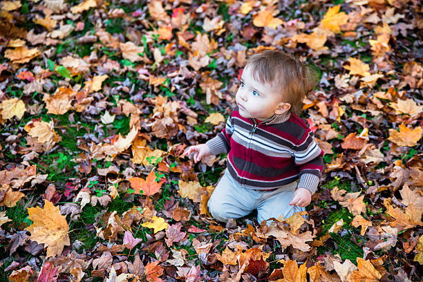 istock Boy Sitting on Ground Covered in Leaves Looking Up 513446327