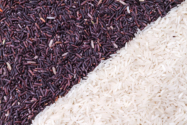 istock row of rice berry and jasmine rice grains 513447090