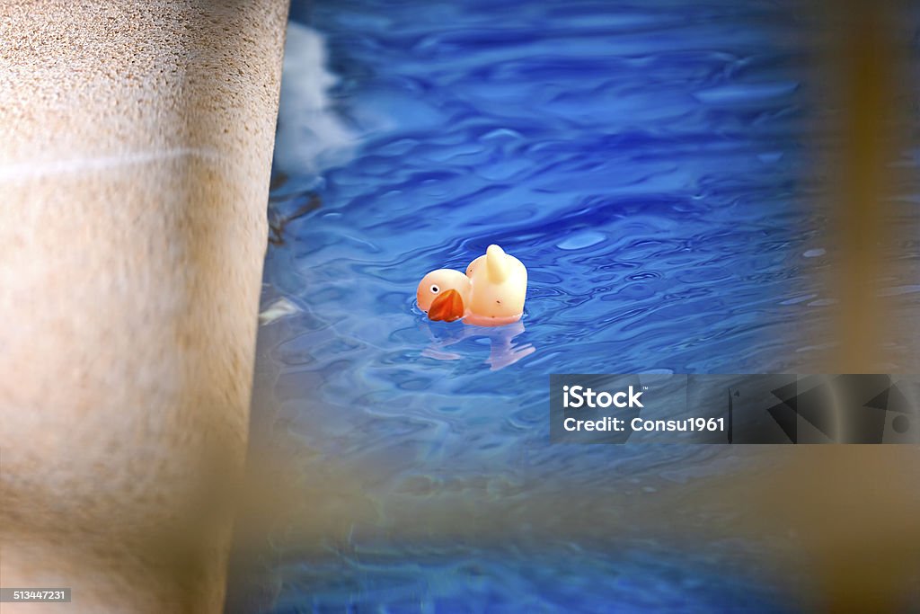 Pato de juguete - Foto de stock de Agua libre de derechos