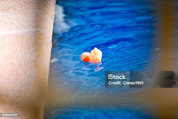 Pato De Juguete Foto de stock y más banco de imágenes de Agua - Agua, Aire libre, Al lado de la piscina