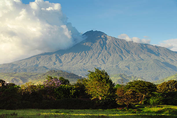 Mount Meru , Arusha National Park, Tanzania Mount Meru is an active volcano with a height of 4566 m, located in Arusha National Park in Tanzania. arusha region stock pictures, royalty-free photos & images