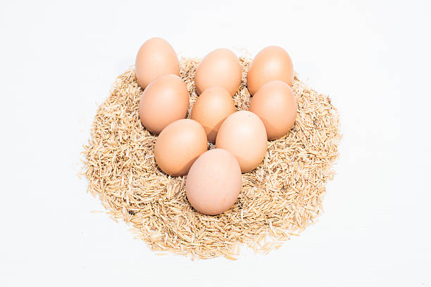 nine eggs with the husk stock photo