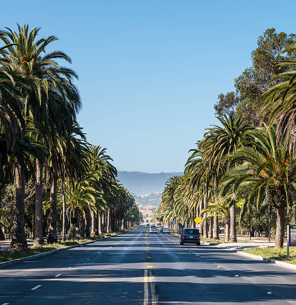 istock Palm Drive from Entrance 513448993