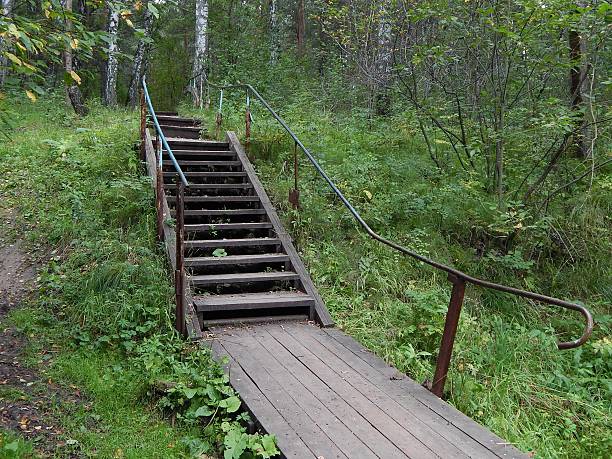 istock Wooden staircase in the forest 513449069