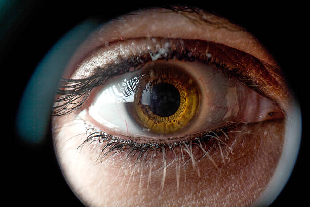 femme regardant au spyhole - keyhole peeking human eye curiosity photos et images de collection