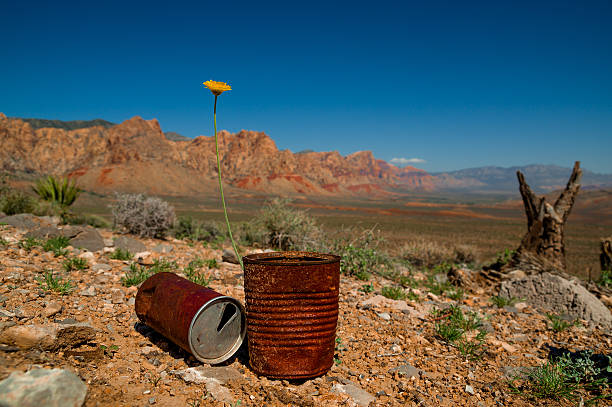 istock red canyon Death Valley National Park 513450497