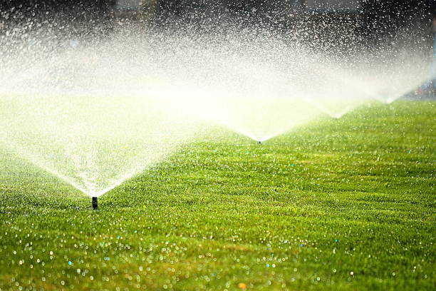 istock garden sprinkler on the green lawn 513469287