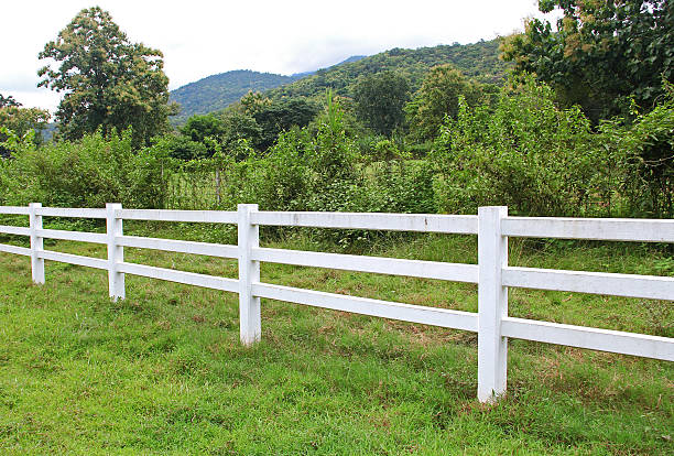 istock cow horse fence 513470315