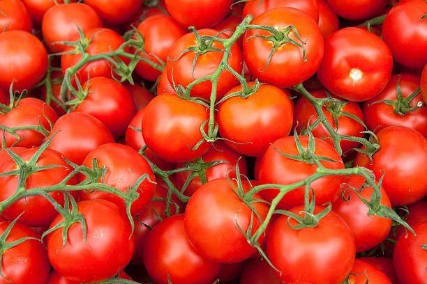 istock Closeup tomato stock photo 513470629