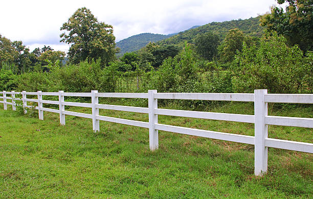 istock cow horse fence 513471069