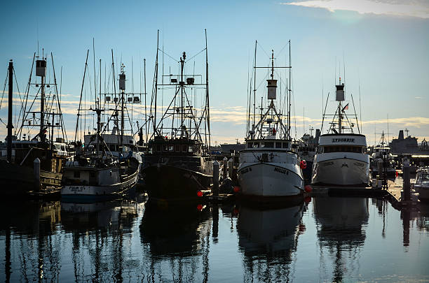 istock San Diego Marina 513472727