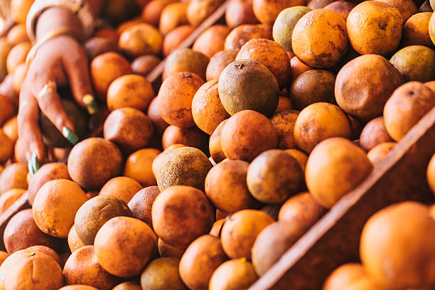 Organic food market in Havana, Cuba