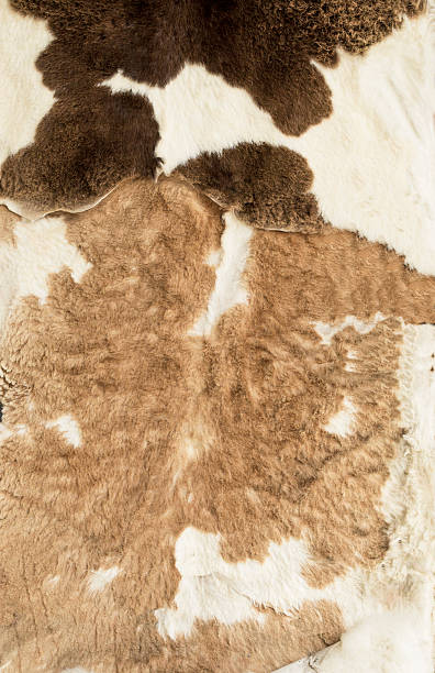 istock Animal skin background 513473669