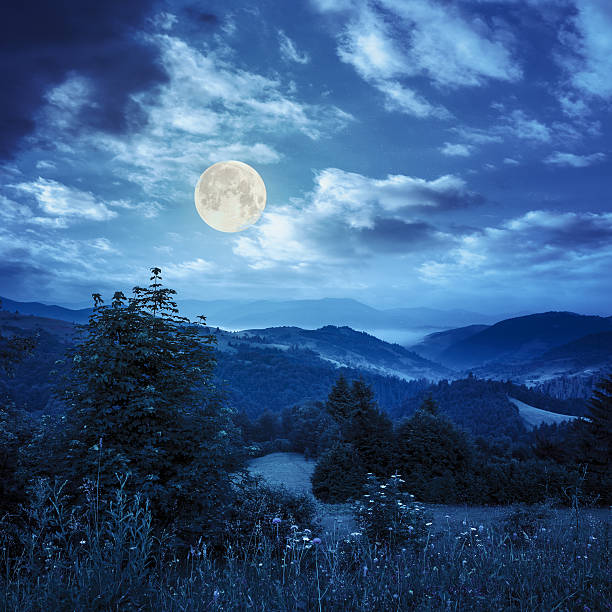 istock village on hillside meadow with forest in mountain at night 513474107
