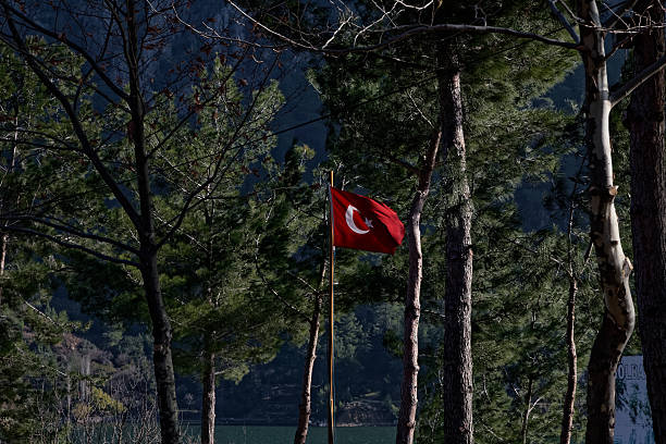 red flag in the woods stock photo