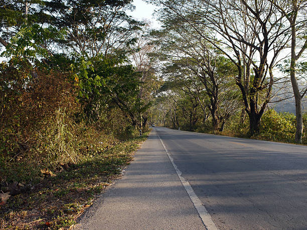 istock Nan Province Country Road 513474985