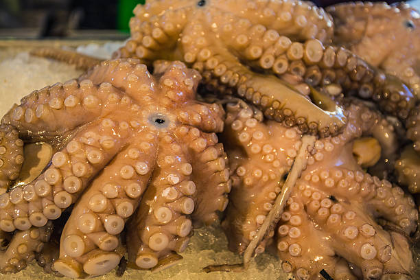 istock fresh octopus on a fish market 513475548